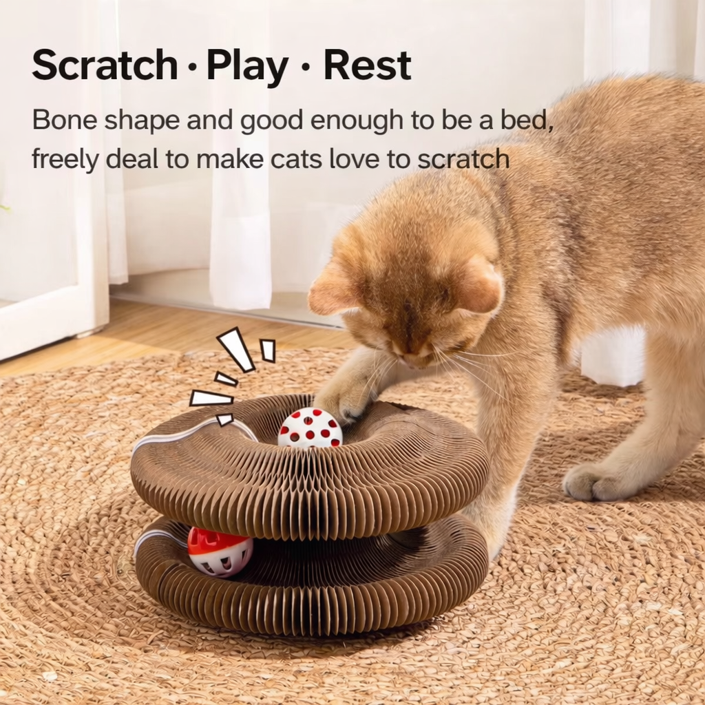 MagnaKurl™ Pro: Armor-Grade Magnetic Cat Lounge