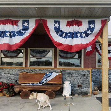 250th Anniversary USA Bunting Flag | Heavy-Duty & Fade Resistant